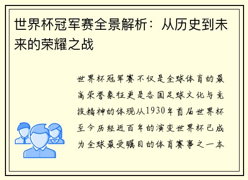 世界杯冠军赛全景解析：从历史到未来的荣耀之战
